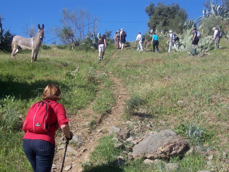 Camino Mozárabe Desde Málaga A Santiago De Compostela - Camino Mozárabe ...